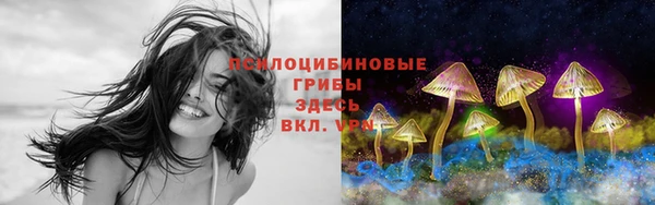 экстази Пересвет