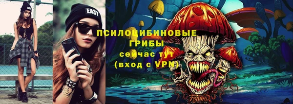 СК Пестово
