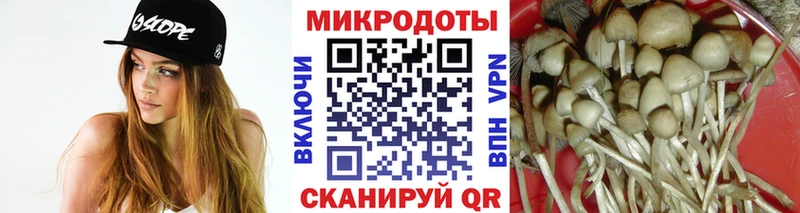 Псилоцибиновые грибы прущие грибы Абаза